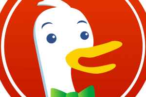 DuckDuckGo SEO: How can you improve your website's performance