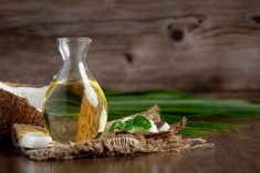7 benefits of using virgin coconut oil on your skin & hair