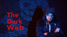The Dark Web